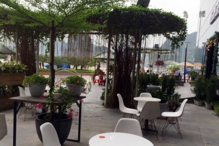 Museum Cafe - Hạ Long